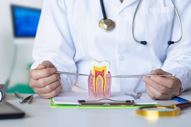 Best Emergency Wisdom Teeth Removal in Tiffin, IA